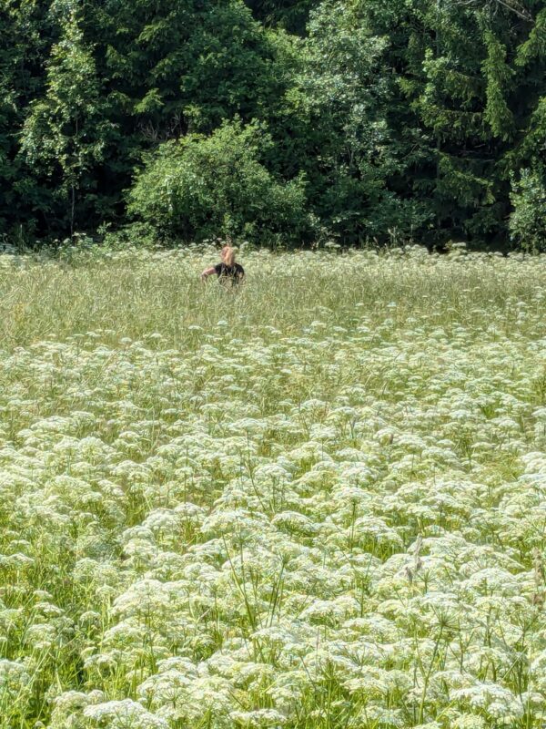 Retraite: Terug naar je natuur op maat, 5  dagen.