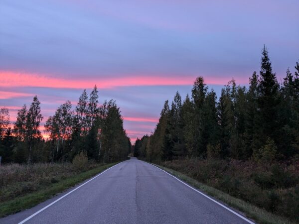 Retraite: (leren) Helen met de natuur, 5 dagen - Afbeelding 2